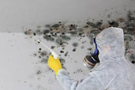 Best Environmental Consulting for Mold Prevention  in Lyons, GA